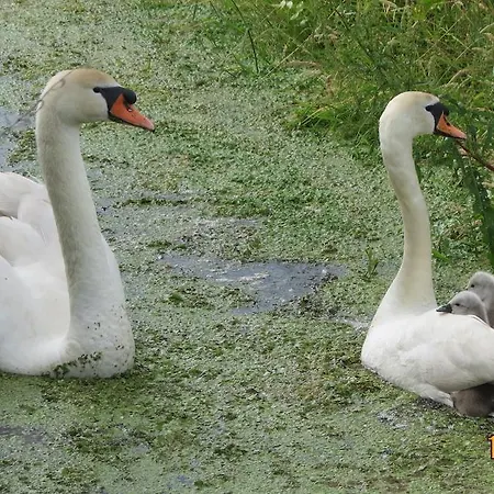 De Wijde Blick Ilpendam