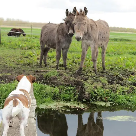De Wijde Blick
