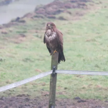 De Wijde Blick Ilpendam