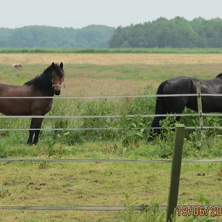 Guest house De Wijde Blick