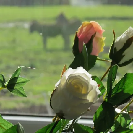 De Wijde Blick Ilpendam