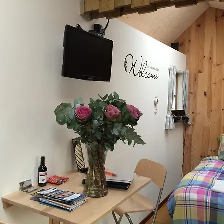 Guest house De Wijde Blick *
