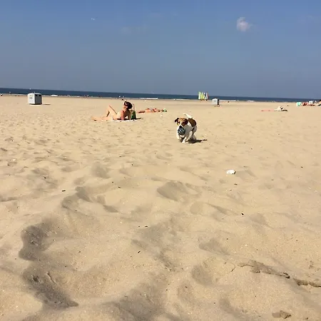 De Wijde Blick
