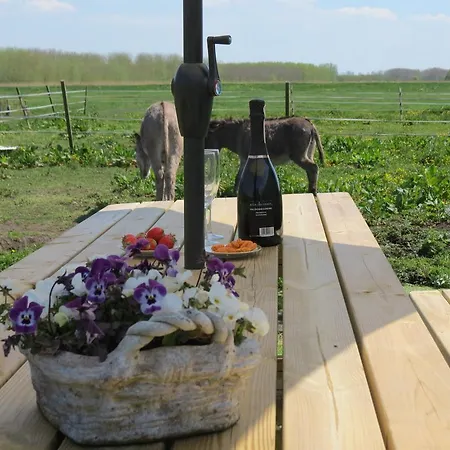De Wijde Blick